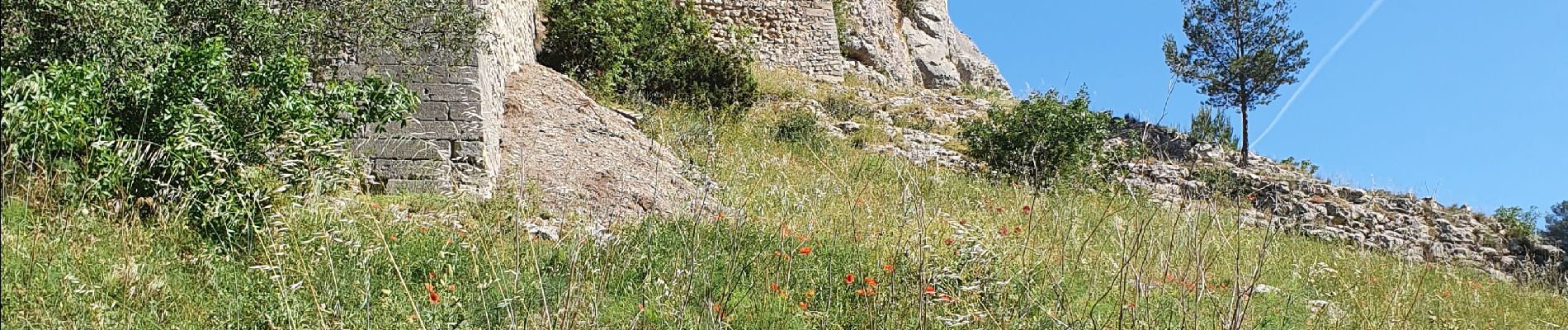 Tour Wandern Boulbon - le château de Boulbon - Photo