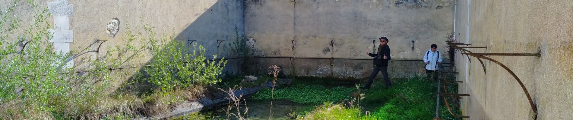 Point d'intérêt Coulanges-la-Vineuse - Lavoir Coulanges-la-Vineuse - Photo