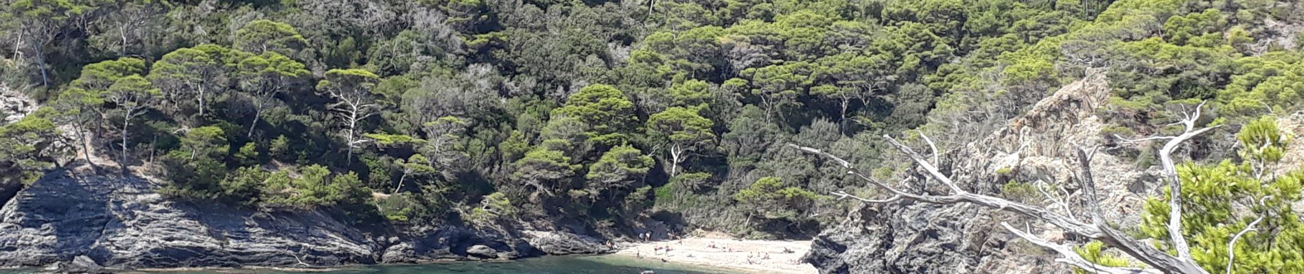 Tocht Stappen Hyères - la Madrague - Photo