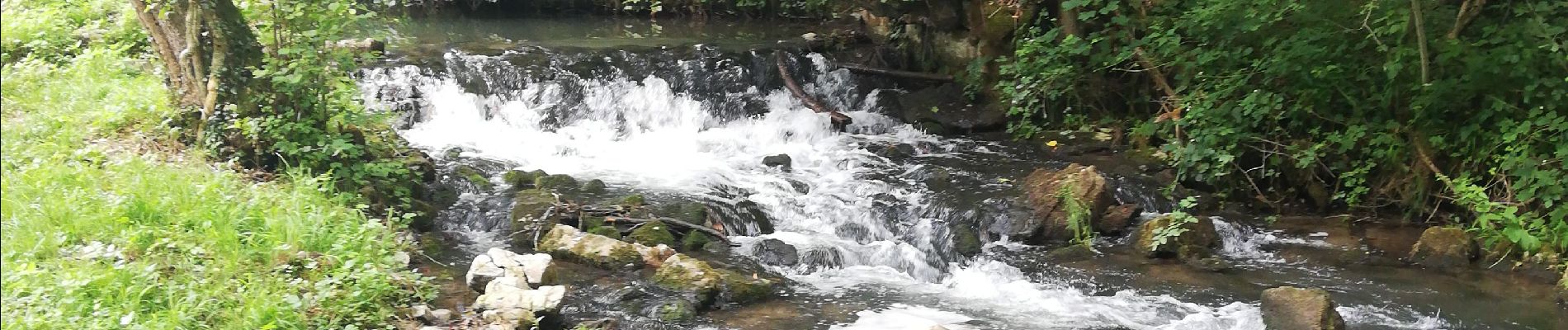 Trail Walking Anhée - Haut le Wastia  - Photo