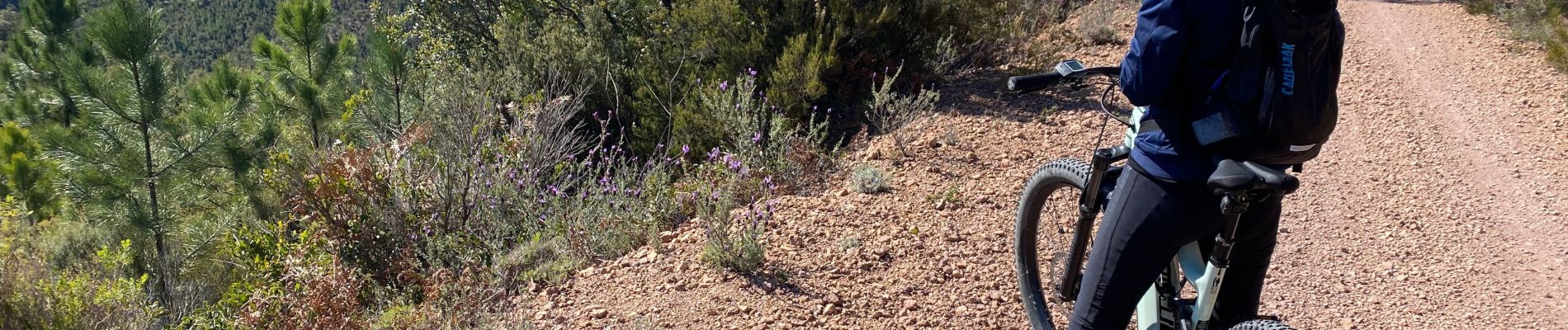 Randonnée V.T.T. Les Adrets-de-l'Estérel - Esterel 1 : Fait en 2022 des Adrets vers le contournement du pic de l'ours - Photo