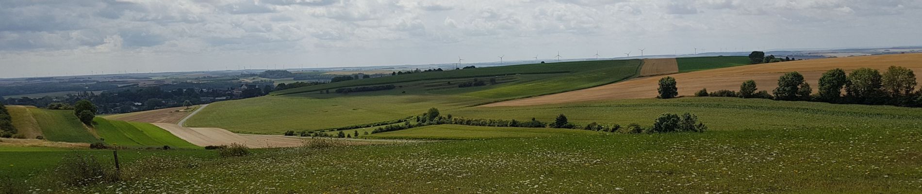 Excursión Senderismo Justine-Herbigny - (16/8/2019) Herbigny - les 2 tables d'orientation  - Photo