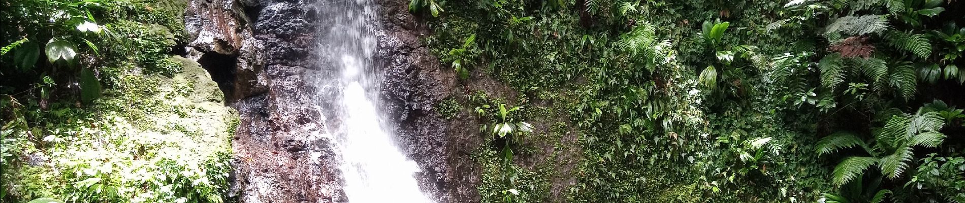 Randonnée Marche Lamentin - Cascade Bois Banane - Photo