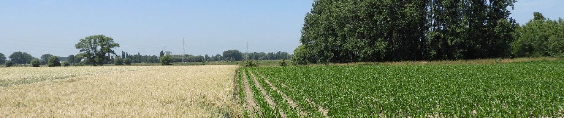 Percorso A piedi Lebbeke - Rondom Belle - Photo