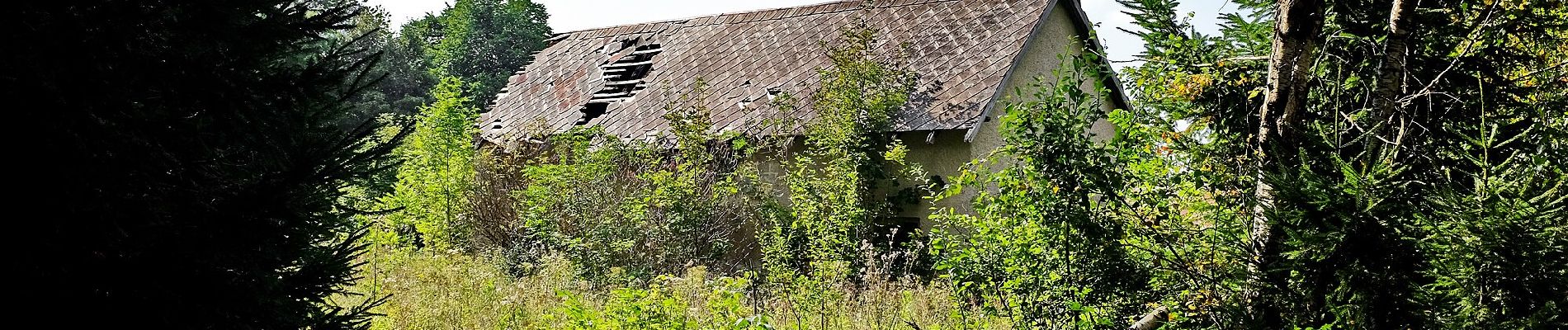 Randonnée A pied Schönsee - Bayern-Böhmen-Runde 2 - Photo