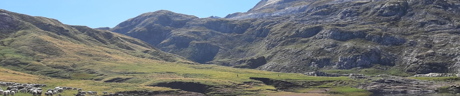 Trail Walking Borce - Lac d'Estaens - Photo