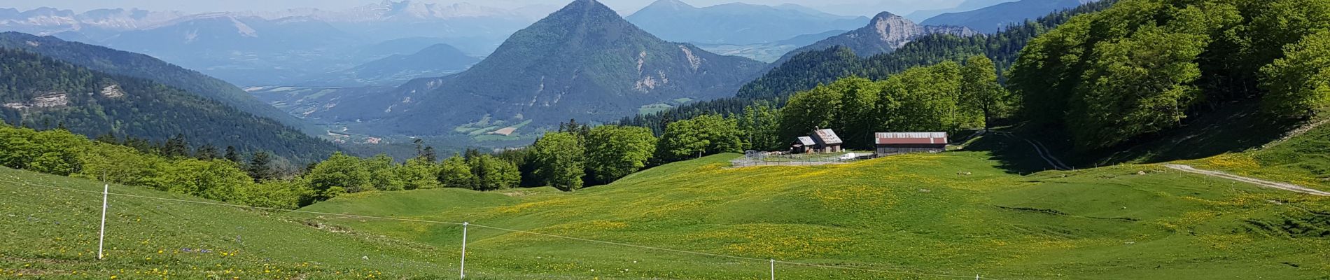 Randonnée Marche Lus-la-Croix-Haute - 2019 06 02 Col de la Croix - Photo