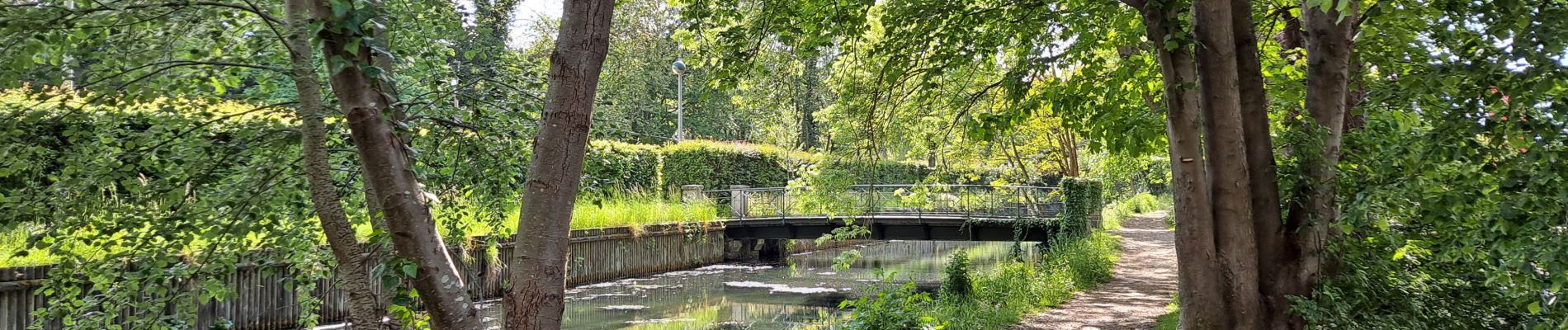 Excursión Senderismo Jouy-en-Josas - Jouy en Josas - Photo