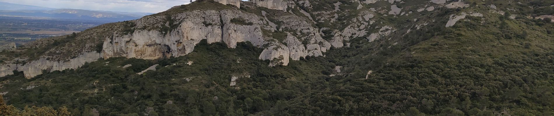 Randonnée Marche Saint-Rémy-de-Provence - Alpilles - Photo