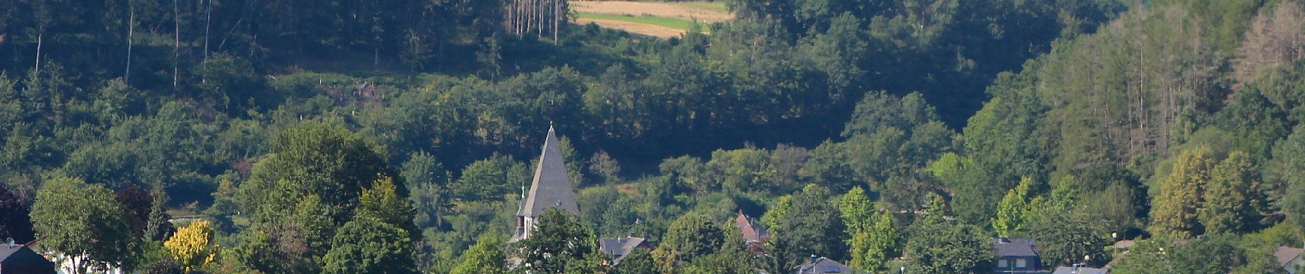 Randonnée A pied Niederelbert - Biotoplehrpfad - Photo