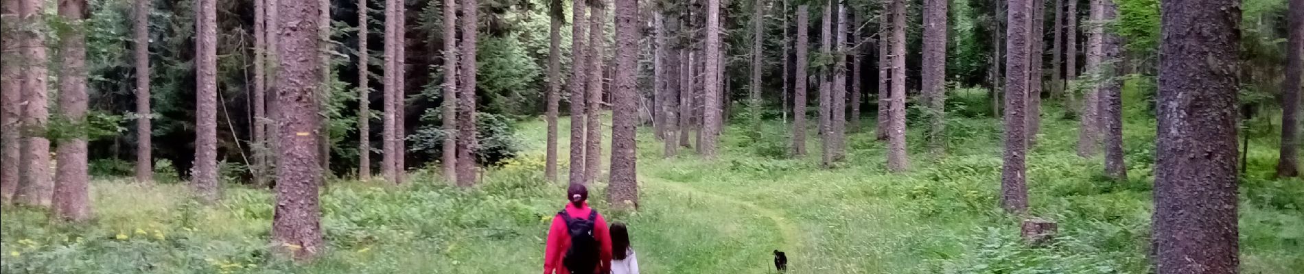 Trail Walking Autrans-Méaudre en Vercors - Le Gros Martel par le trou de L'enfer - Photo