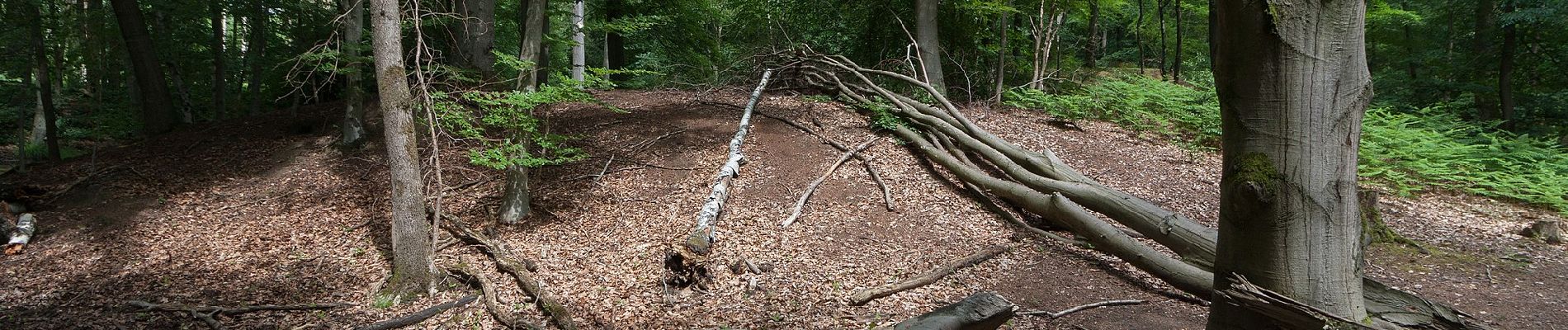 Tocht Te voet Hünxe - Gartrop Rundweg A6 - Photo