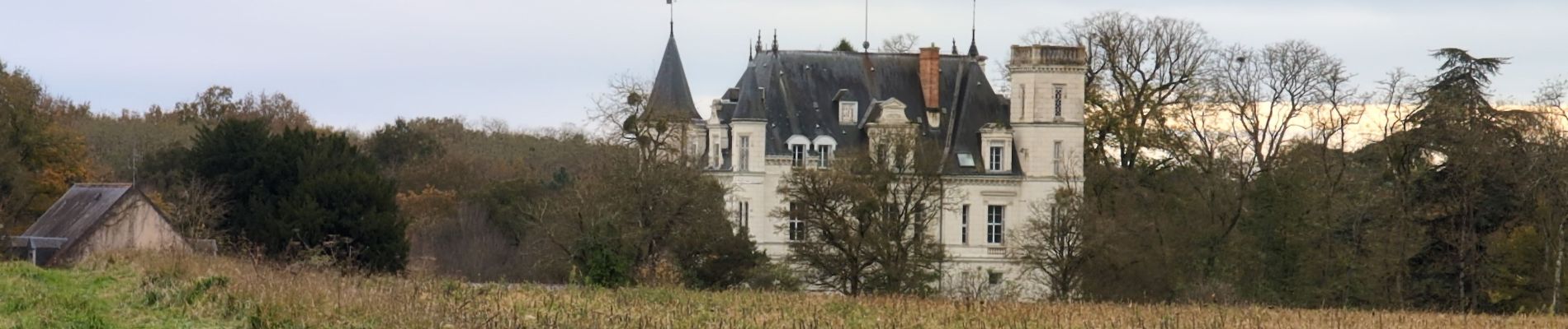 Percorso Marcia Esvres - Esvres-sur-Indre - Veneuil Rouillers Hardellière - 24.5km 245m 5h20 (50mn) - 2024 11 23 - Photo