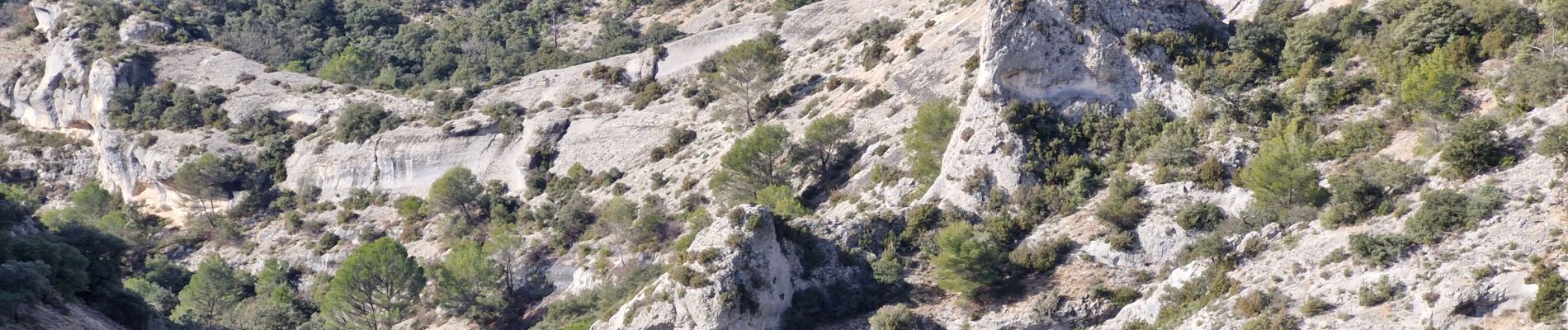 Excursión Senderismo Gordes - 20250126senanque - Photo