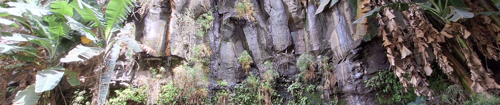 Excursión Senderismo Unknown - boucle aguada de chã de pedras - Photo