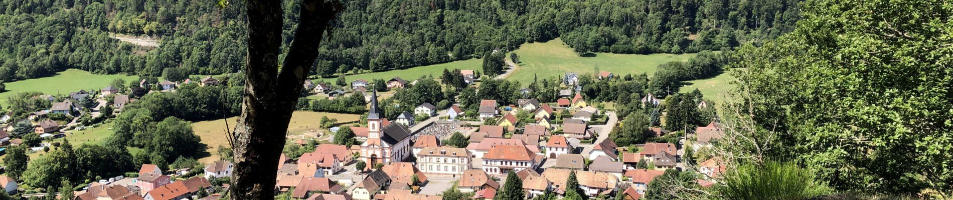 Trail Walking Oderen - Oderen-Gomm-Abri du Strass Hiesel - Photo