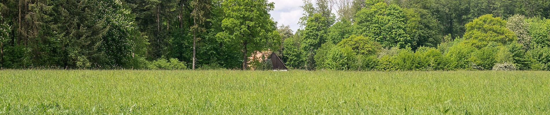 Tocht Te voet Altenbeken - Rundwanderweg A3 [Altenbeken: Durbeke] - Photo