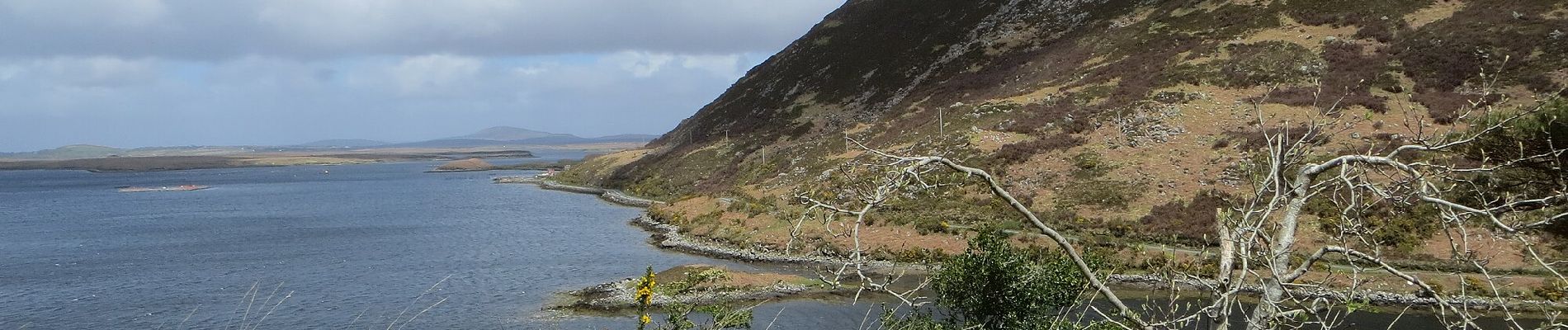 Tour Zu Fuß Westport-Belmullet Municipal District - Causeway Loop Walk - Photo