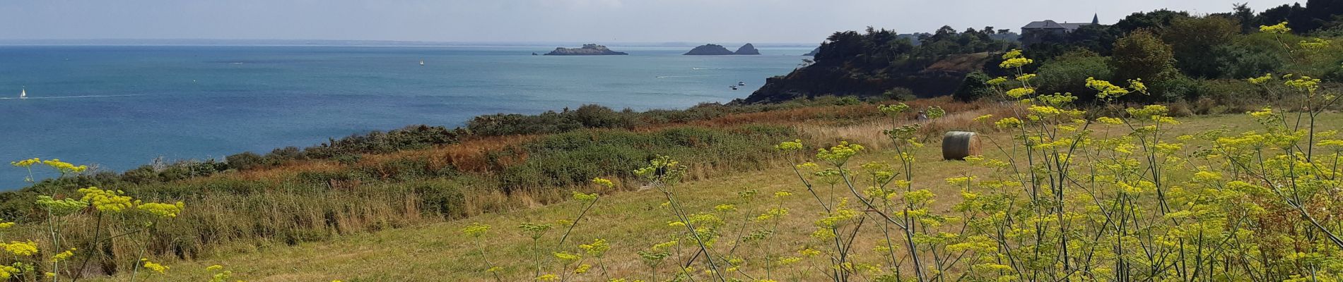 Tocht Stappen Cancale - Cancale saussaye pointe grouin - Photo