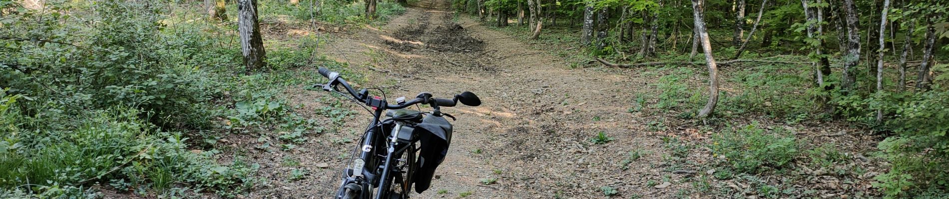 Percorso Bici da strada Saulny - saulny - Photo