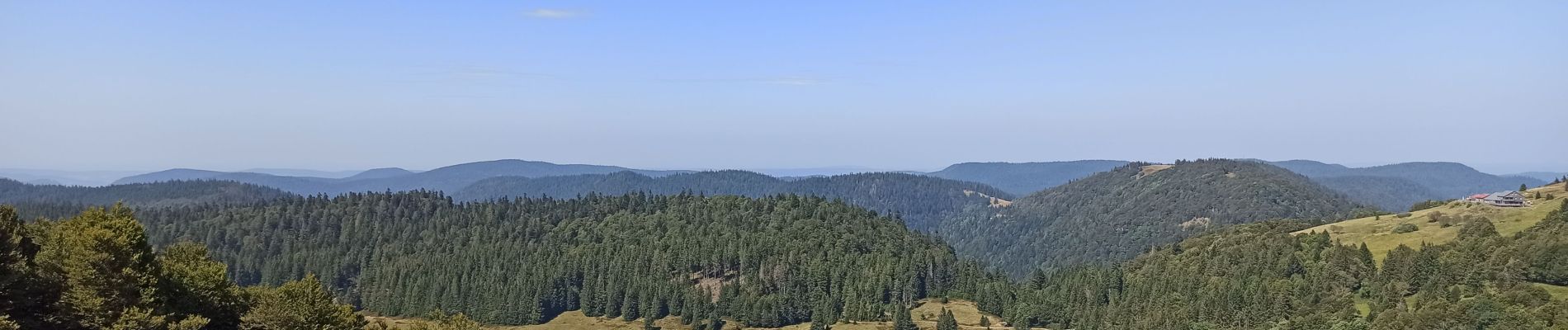 Tour Wandern Woll - 24-08-24 Hohneck - Firstmiss - lac blanchemer - Hohneck - Photo