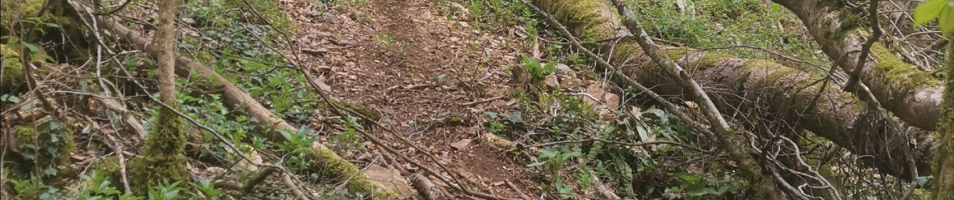 Tocht Stappen Torcieu - Dornan et ses grottes - Photo