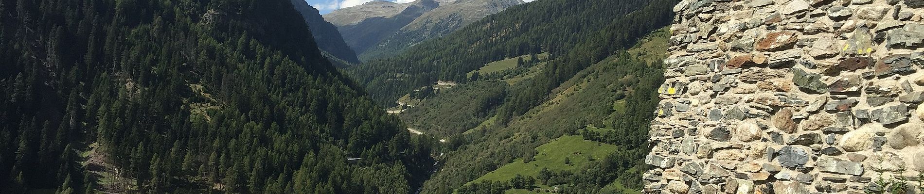 Percorso A piedi Zernez - Susch - Lavin - Photo