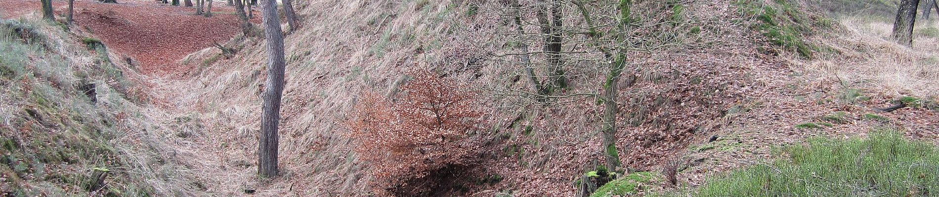 Tour Zu Fuß Apeldoorn - palieis 't Loo 