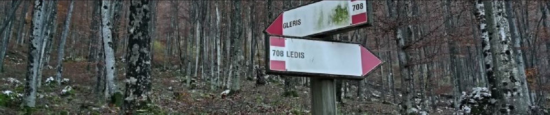 Trail On foot Venzone - IT-704 - Photo
