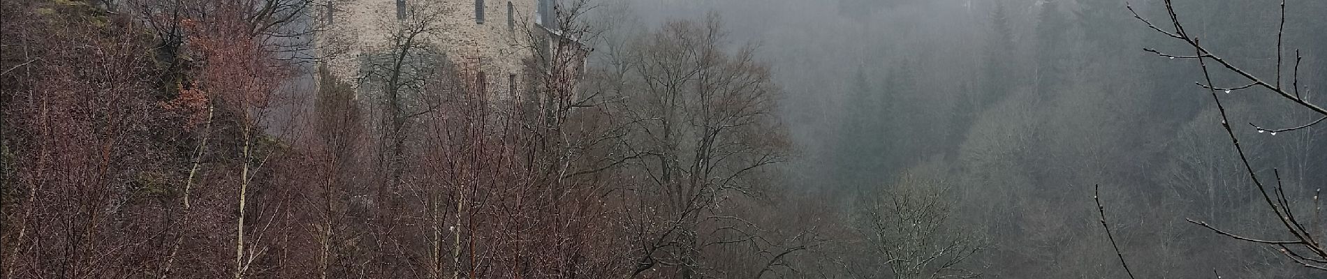 Tocht Stappen Waimes - Autour du château de Reinhardstein - Version courte - Photo