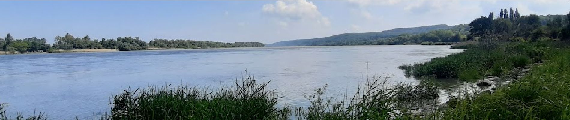 Randonnée Marche Aizier - Vieux-Port, de la forêt aux rives de la Seine - Photo