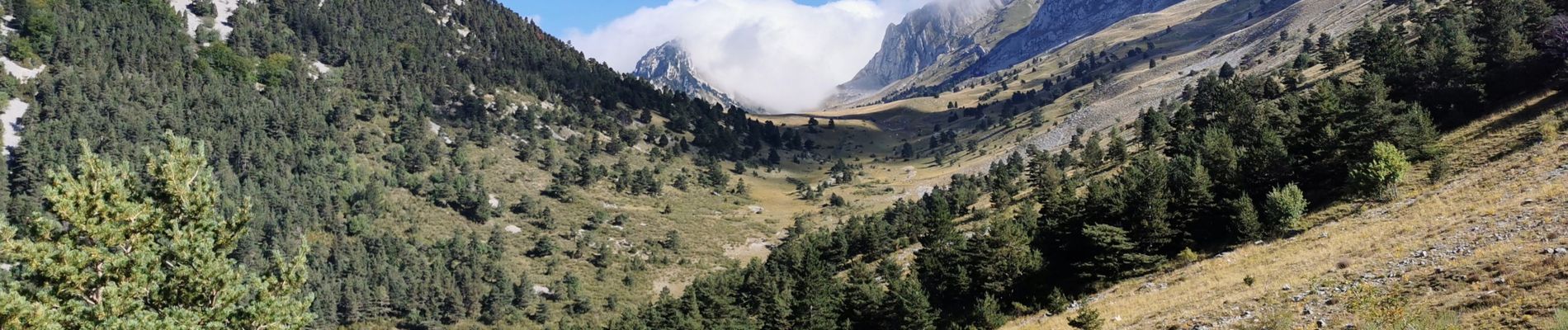 Tour Wandern Glandage - Col de la Péyère (Grimone) - Photo