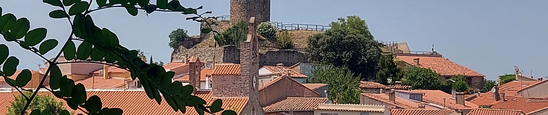 Tocht Stappen Laroque-des-Albères - 20210722 Laroque des Alberes - Photo