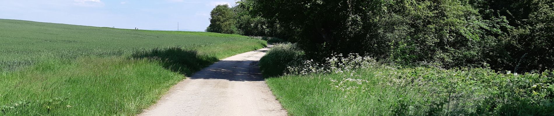 Randonnée Marche Saint-Ignat - LE VAL DE MORGE - Photo