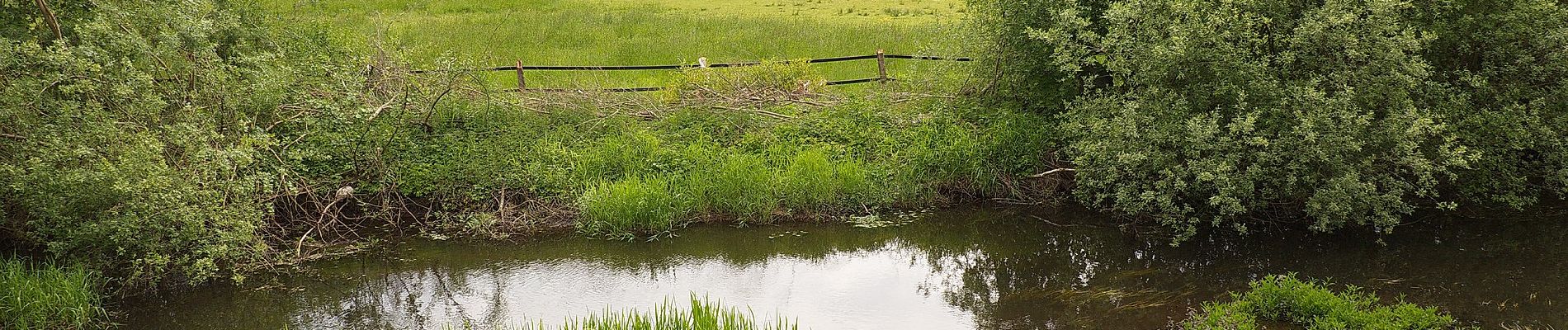 Percorso A piedi Winsen (Aller) - Südheide 'Wasser und Sand' W17m (mittlere Tour) - Photo