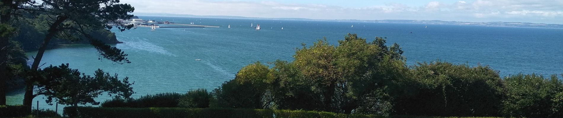 Tour Wandern Plonévez-Porzay - DOUARNENEZ - Photo