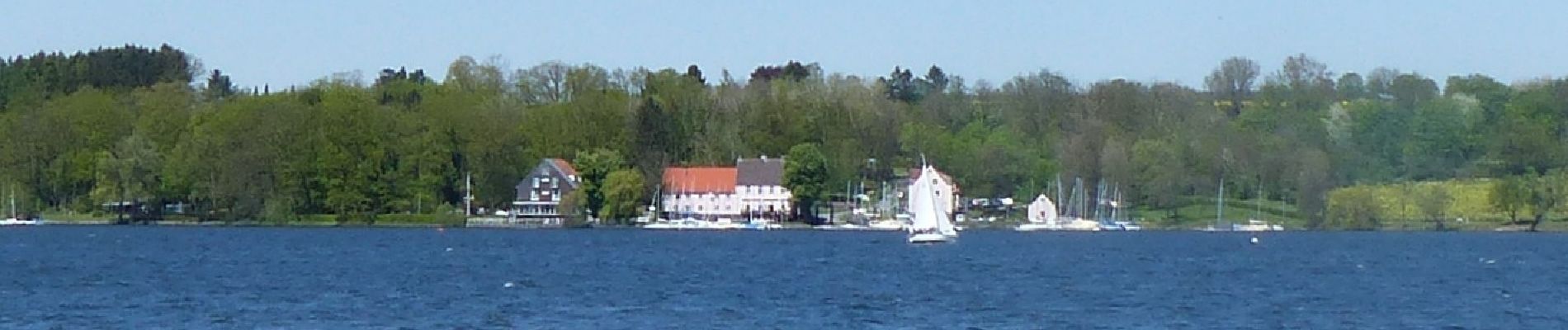 Randonnée A pied Möhnesee - Trimmpfad Rundweg A15 - Photo