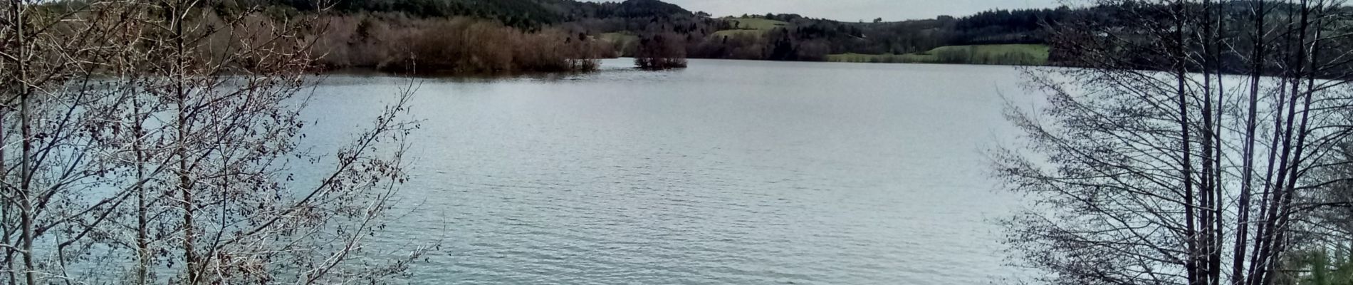 Tocht Stappen Aydat - Tour du lac d'Aydat - Photo