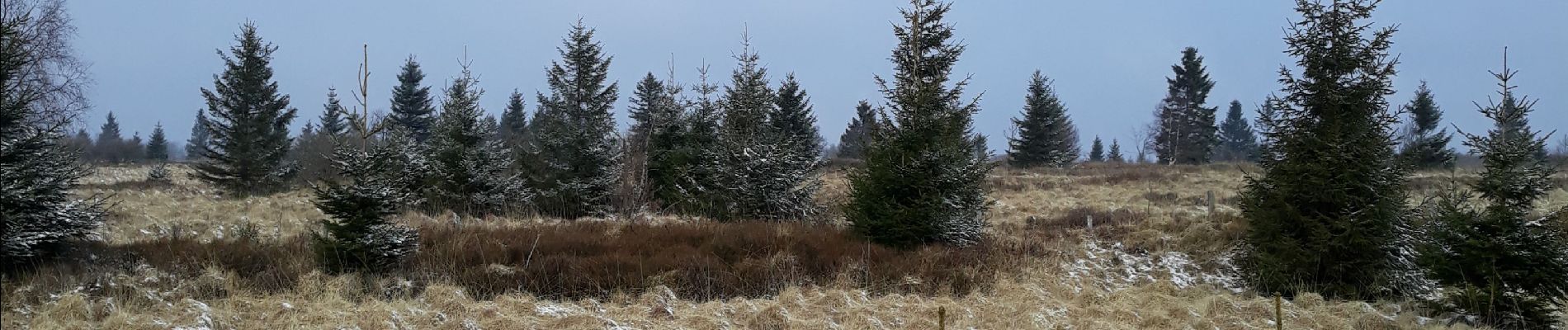 Tocht Stappen Waimes - Boucle Chapelle Fischbach - Photo