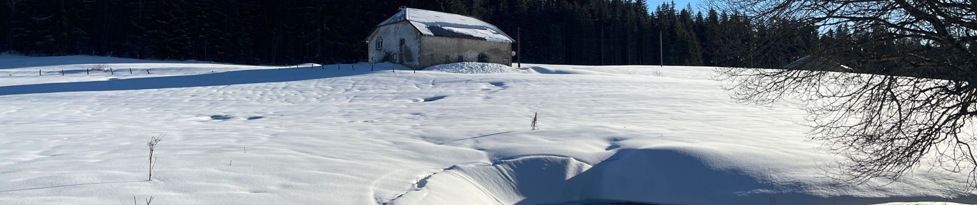 Randonnée Raquettes à neige Bellefontaine - Bellefontaine roche Champion - Photo