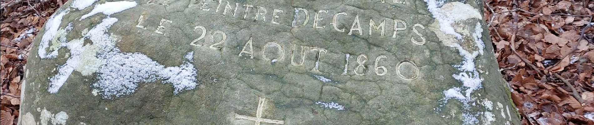 Point d'intérêt Fontainebleau - Roche Decamps - Photo