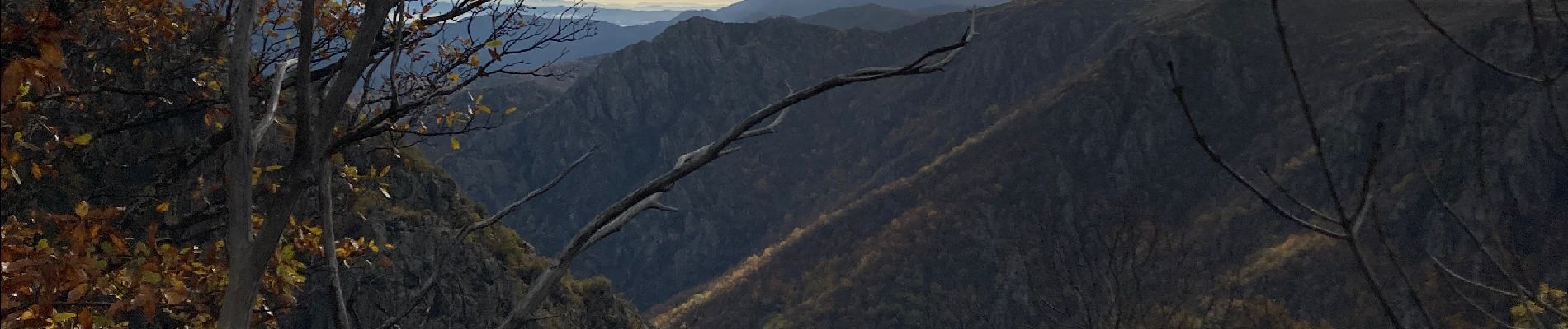 Randonnée Marche Prévenchères - Cévennes  - Photo