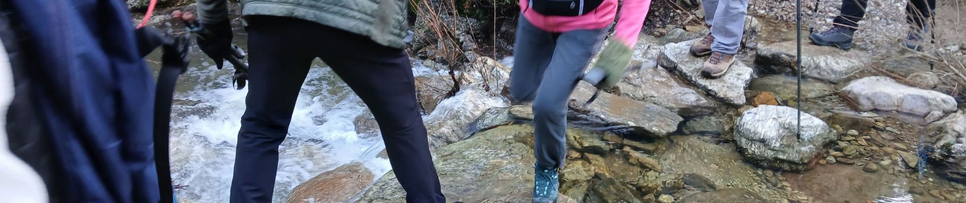 Excursión Senderismo Roquebrune-sur-Argens - Lac des Clos - Photo