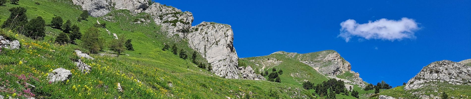 Tour Wandern Le Dévoluy - suuntoapp-Hiking-2024-06-17T07-23-45Z - Photo