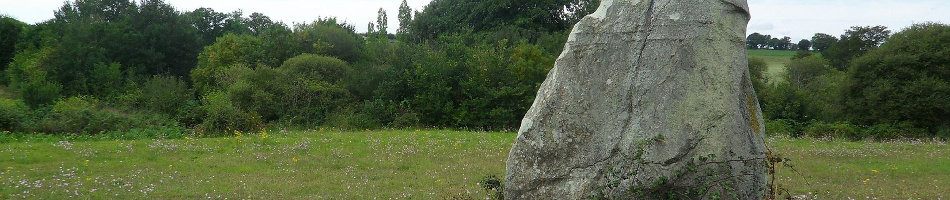 Trail On foot Cholet - La Ribou'cle - Photo