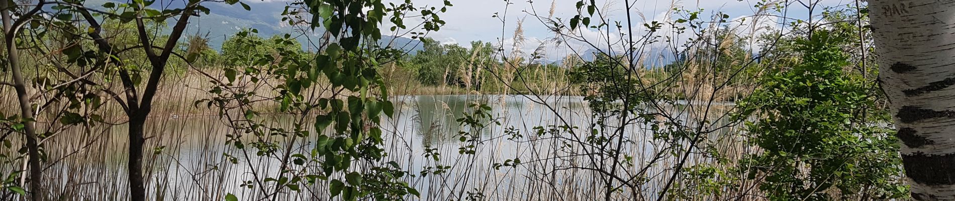 Randonnée Marche nordique Vif - Les Etangs de la Plaine de Reymure - Photo