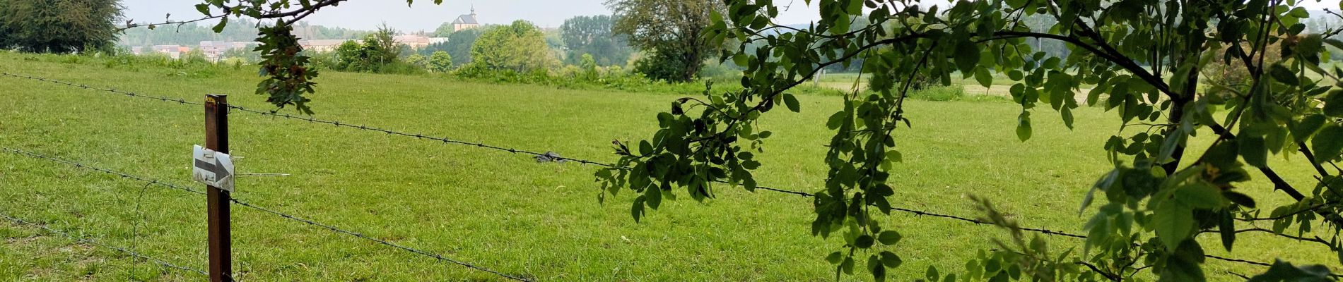 Tocht Stappen Couvin - AUBLAIN.  dép place  - Photo