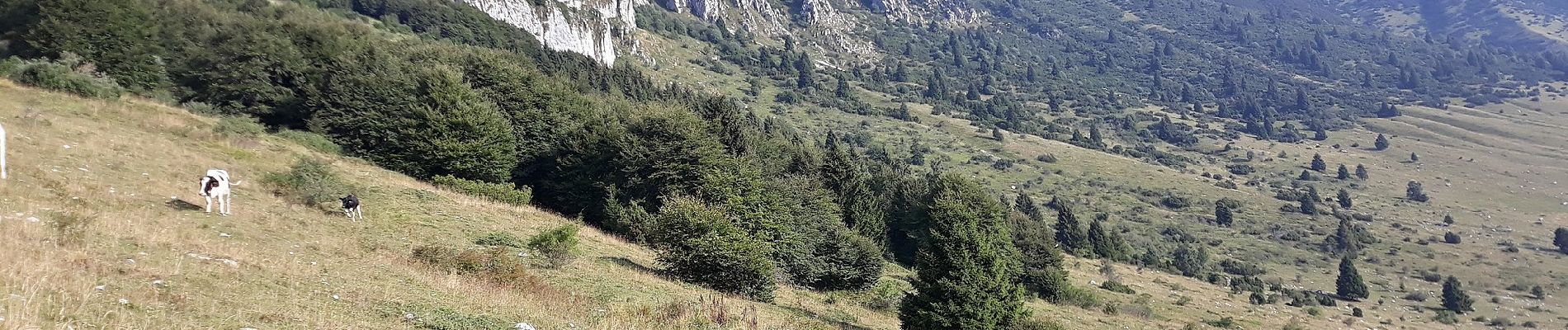 Trail On foot Ferrara di Monte Baldo - Braga - Malga Valfredda - Photo