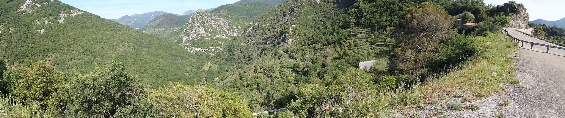 Percorso A piedi Sospello - Tour du mont Grazian - Photo