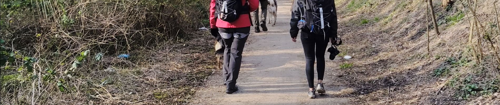 Trail Walking Herstal -  CANI-RADO TOUR (boucle, Herstal gauche) - Photo